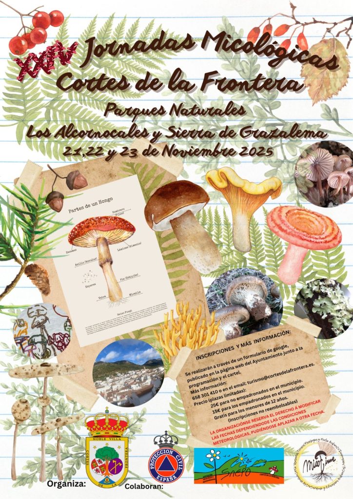 Jornadas Micológicas de Cortes de la Frontera