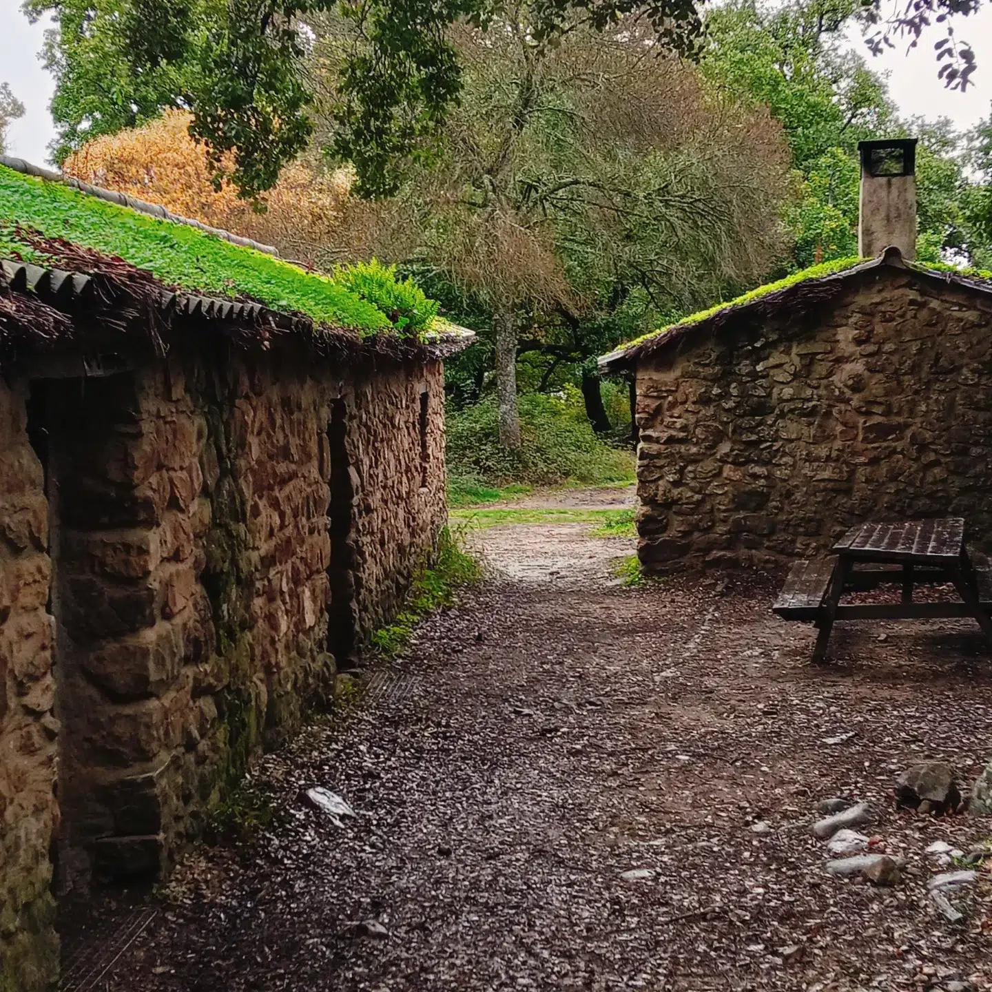 Cabaña de piedra de La Sauceda integrada en el bosque del Parque Natural de Los Alcornocales, Cortes de la Frontera, Málaga — alojamiento rural rústico sin luz ni agua corriente