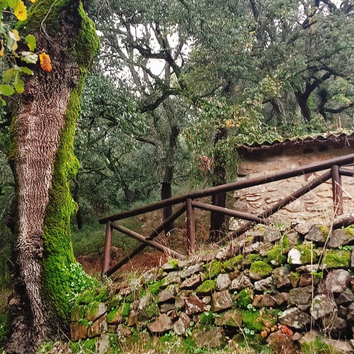 Arquitectura histórica restaurada del poblado de La Sauceda, testigo de la Guerra Civil española, integrada en el Parque Natural de Los Alcornocales en Cortes de la Frontera, Málaga