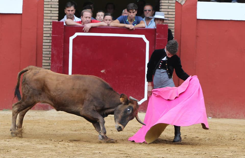 El Toro del Aguardiente en Cortes de la Frontera, tradición festiva popular que tiene lugar durante la Feria de Agosto en las calles del municipio y en la Plaza de Toros