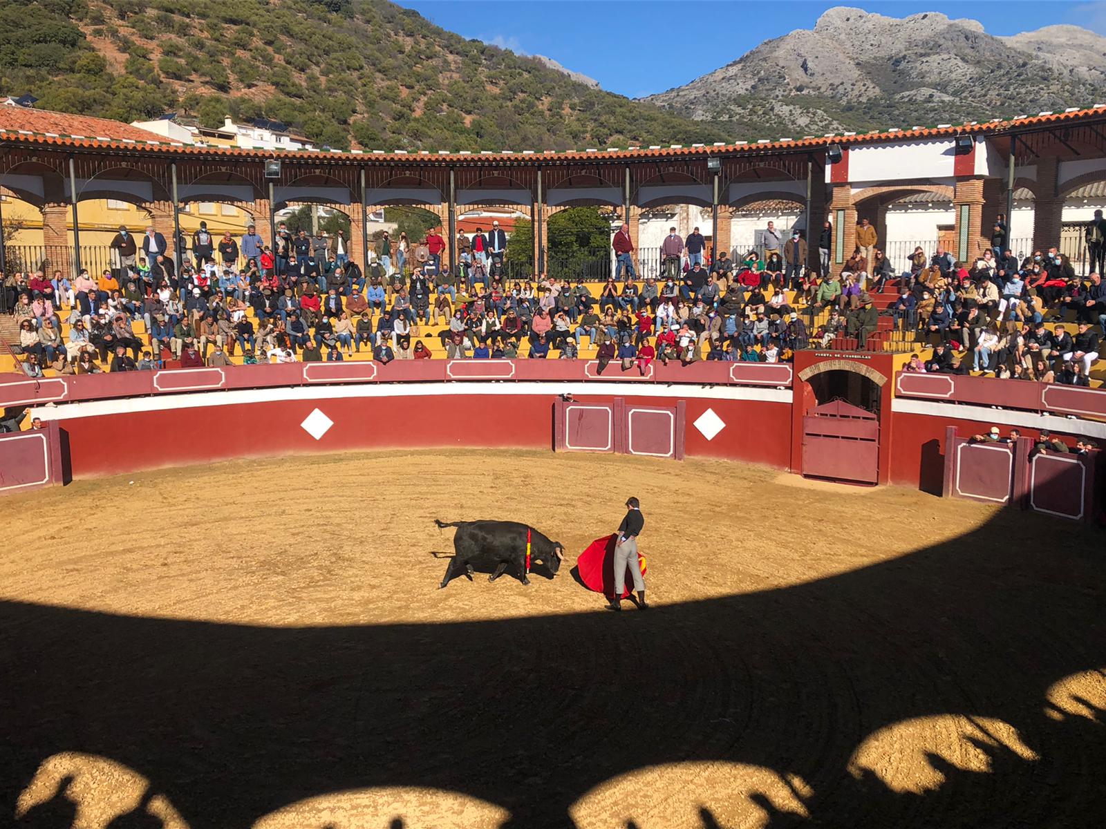 Interior de la Plaza de Toros de Cortes de la Frontera mostrando el ruedo circular, las gradas y los tendidos del coso taurino, Serranía de Ronda